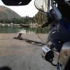 Motorradtour konispol-bundrit-wooden-ferry-- photo