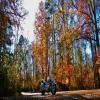 Motorradtour sumter-national-forest-2- photo